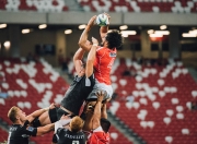 九游娱乐首页-沙漠风暴中的彩虹，2026世界杯E组突尼斯vs伊拉克，罗德里戈的独舞照亮生死战