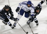 九游体育-意甲焦点战？不，这是黄蜂的狂胜风暴！辽宁队遭遇意外滑铁卢