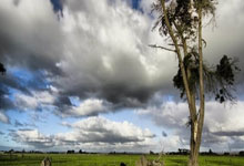 九游娱乐app下载-关于EDG险胜KT，JackeyLove操刀奇招英雄翻盘宿命之战半决赛，成为赛场最大亮点的信息