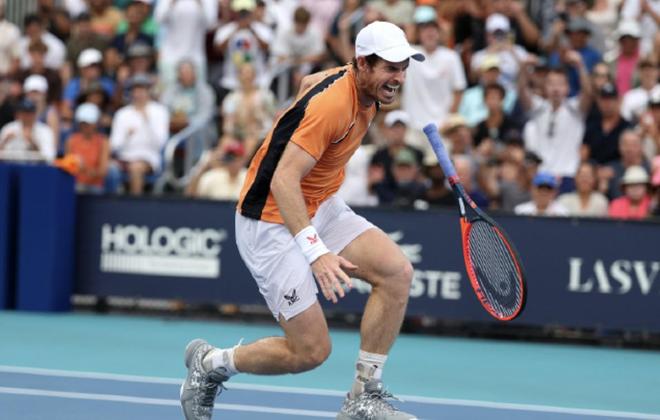 日本网球队强势英国网球队，穆雷制霸全场的简单介绍