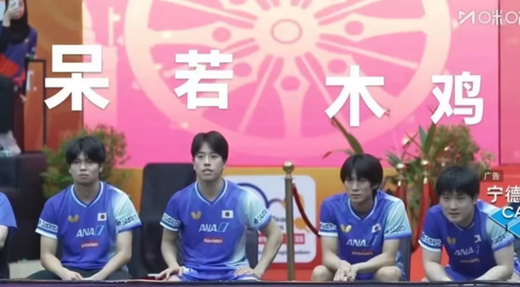 日本乒乓球队鏖战波兰乒乓球队，张本智和惊艳世界的简单介绍