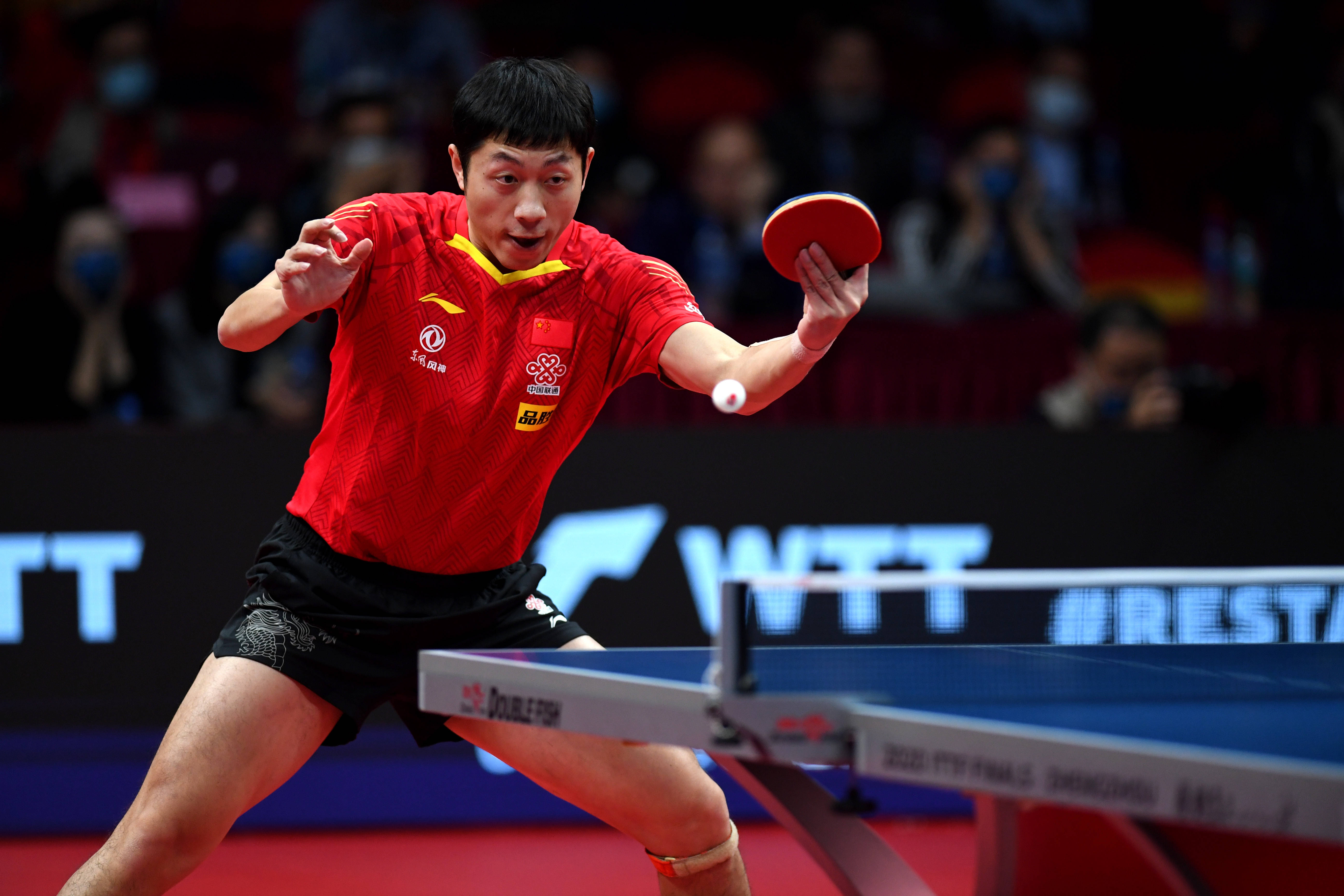 比利时乒乓球队强势波兰乒乓球队,许昕打破历史纪录的简单介绍 比利时乒乓球队强势波兰乒乓球队,许昕打破历史纪录的简单介绍