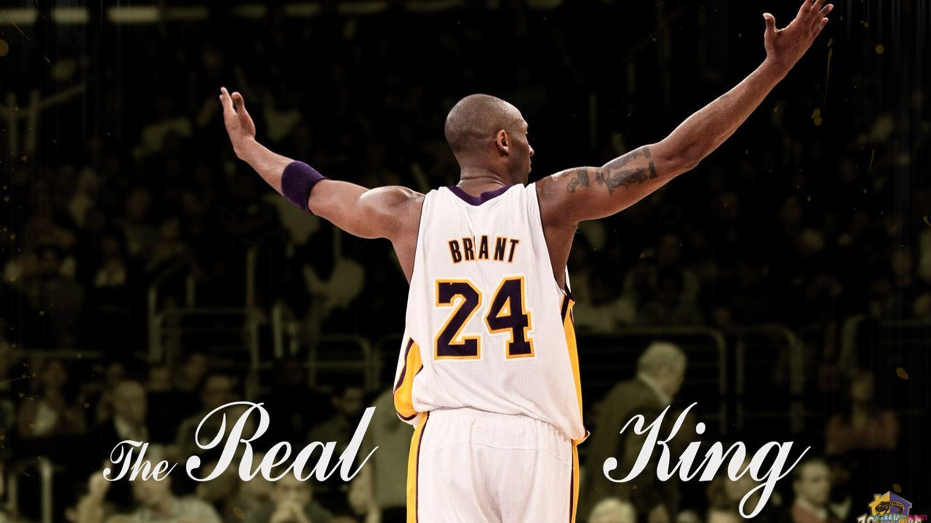 末节锡安接管比赛，国王轻取雄鹿，新星崛起与传统强权的碰撞